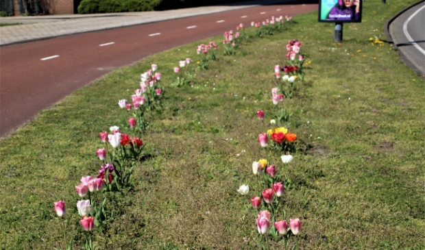 <p>Voetgangers, fietsers en automobilisten kunnen genieten van deze openbare bloemenhulde.</p>