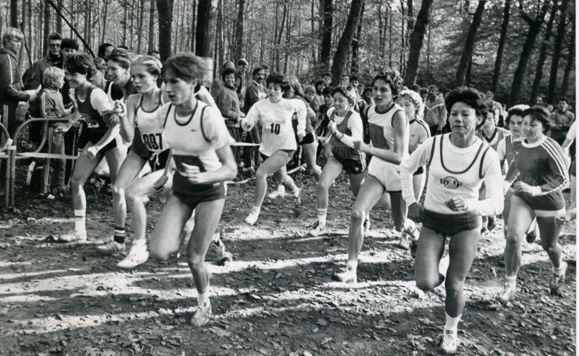 Dit jaar stond de 48e editie van de Sparrenbosloop op het programma. Op 30 oktober 1983, toen bovenstaande foto werd genomen, won oud-Marvelatlete Jacky Winkelman (voorgrond rechts) voor de derde maal op rij bij de vrouwen. (Archieffoto Brabants Centrum).