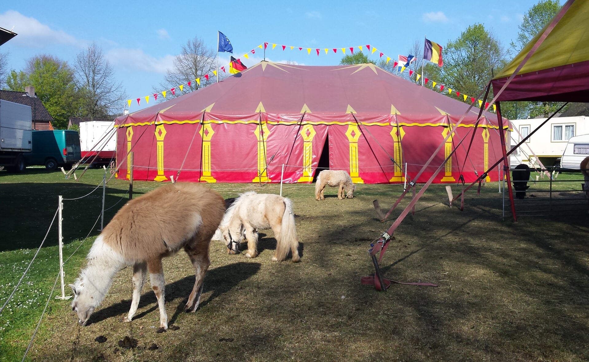 Circus Bossle heeft de tenten opgeslagen aan de barrierweg in Liempde. (Foto: Albert Stolwijk).