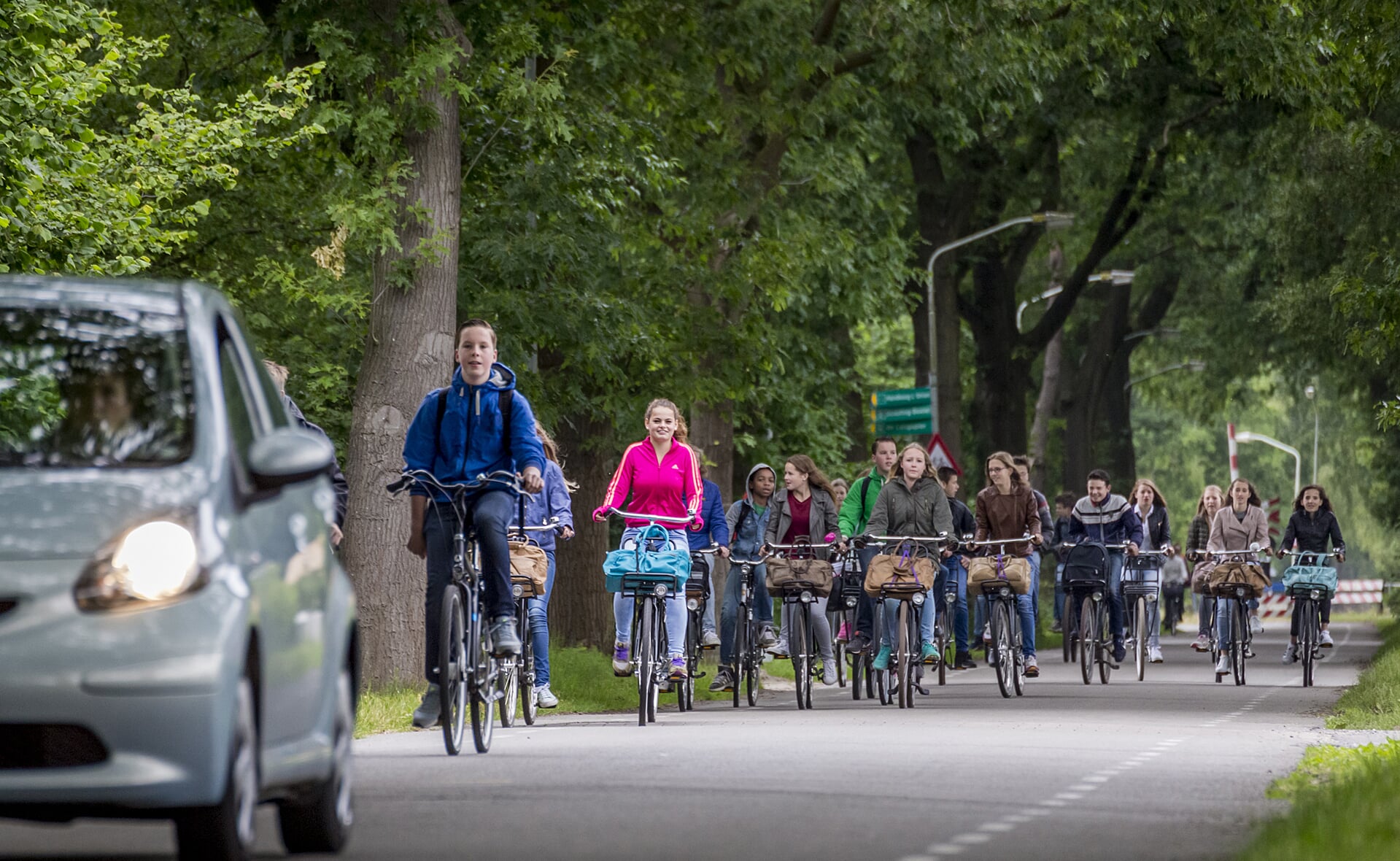 De Molenwijkseweg is in beeld voor fietsstraat en zou deel uit kunnen gaan maken van een snelfietsroute Den Bosch-Eindhoven. (Foto: Peter de Koning).