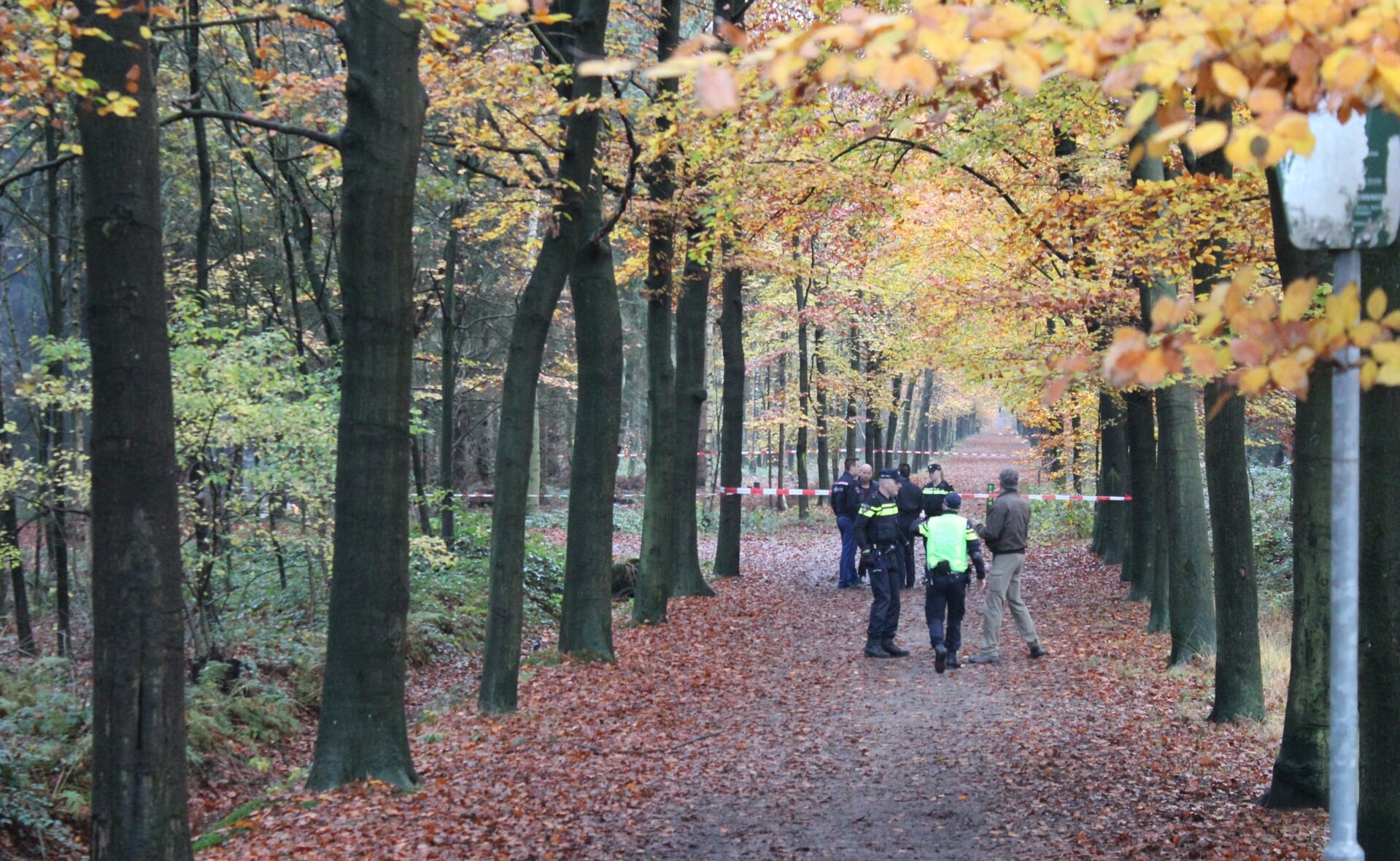Een wandelaar trof in november 2014 in bosgebied Sparrenrijk een brandend lichaam aan. Een week later werd het lijk geïdentificeerd.