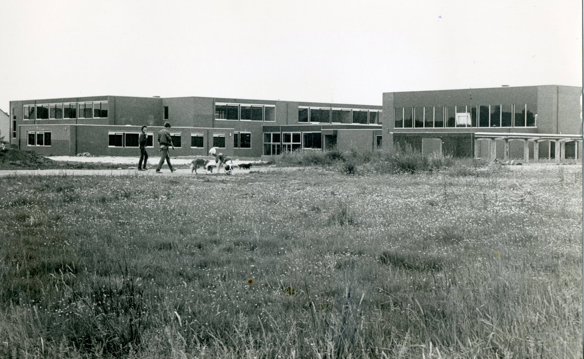 De vroegere mavo Wilgenbroek werd in 1980 officieel geopend. Momenteel dient het gebouw als brede school. (Archief Brabants Centrum).