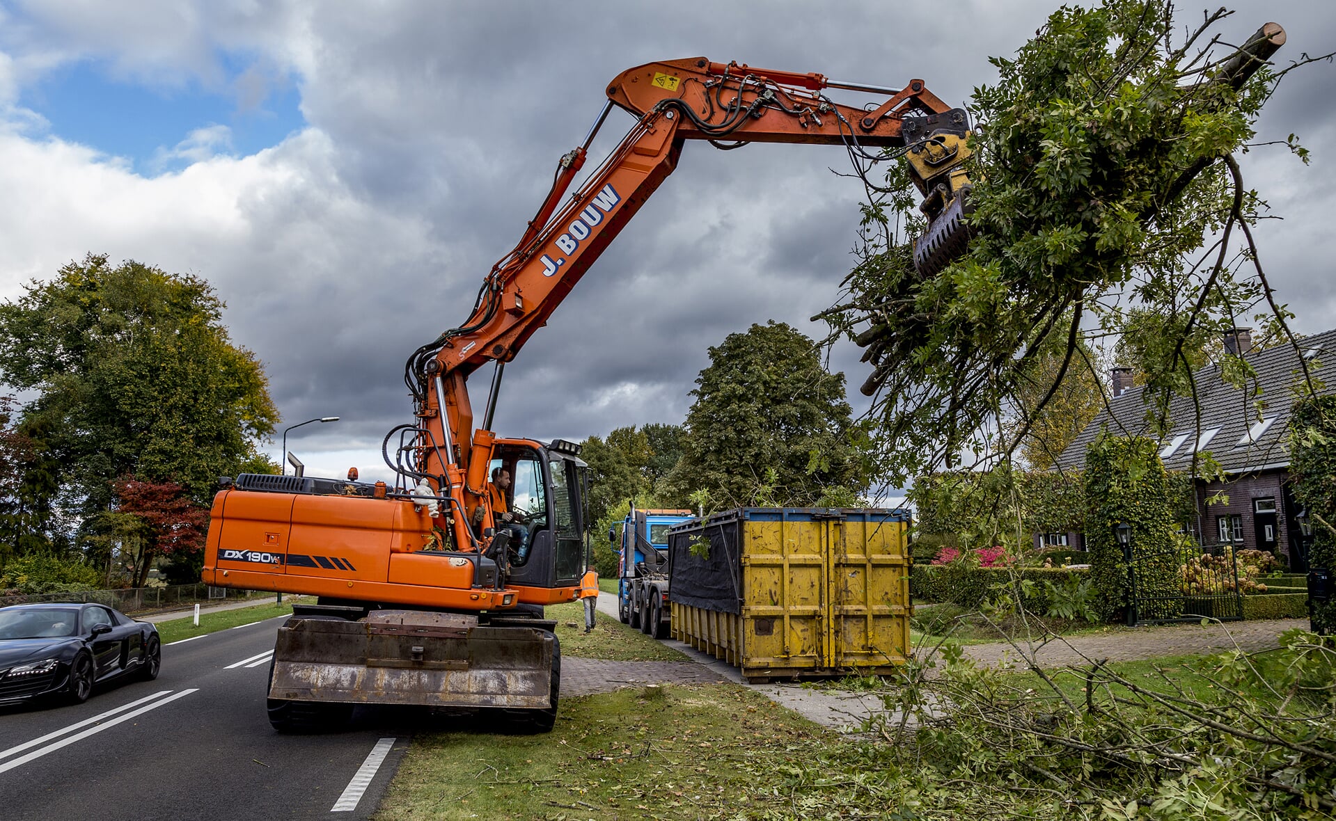 Vorig jaar werden honderden zieke bomen langs de Schijndelsedijk gerooid. De weg krijgt in het najaar van 2017 een nieuwe asfaltlaag. (Foto: Peter de Koning).