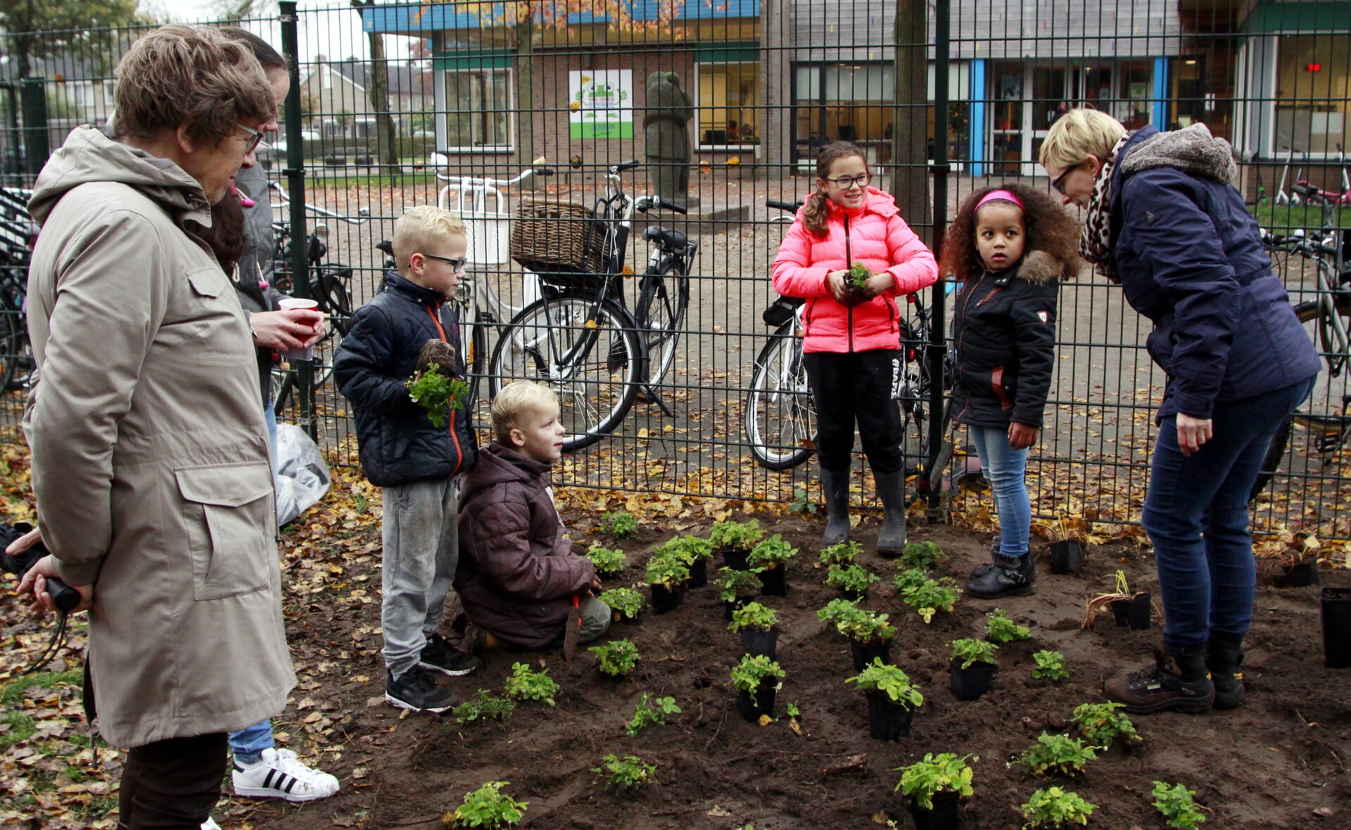 Eind vorig jaar werd naast basisschool De Vorsenpoel een pluktuin geopend, ontworpen door Marja Gijben. Deze tuin aan de Dr. De Brouwerlaan vormt een volgende schakel in de zogeheten Foodwalk. Een wandeling die start bij de moestuin nabij Hoogheem en eindigt bij de rijksweg A2 en liefhebbers van natuur langs verschillende plantsoenen met openbaar 'eetbaar groen' leidt. (Archieffoto: Gerard Schalkx).