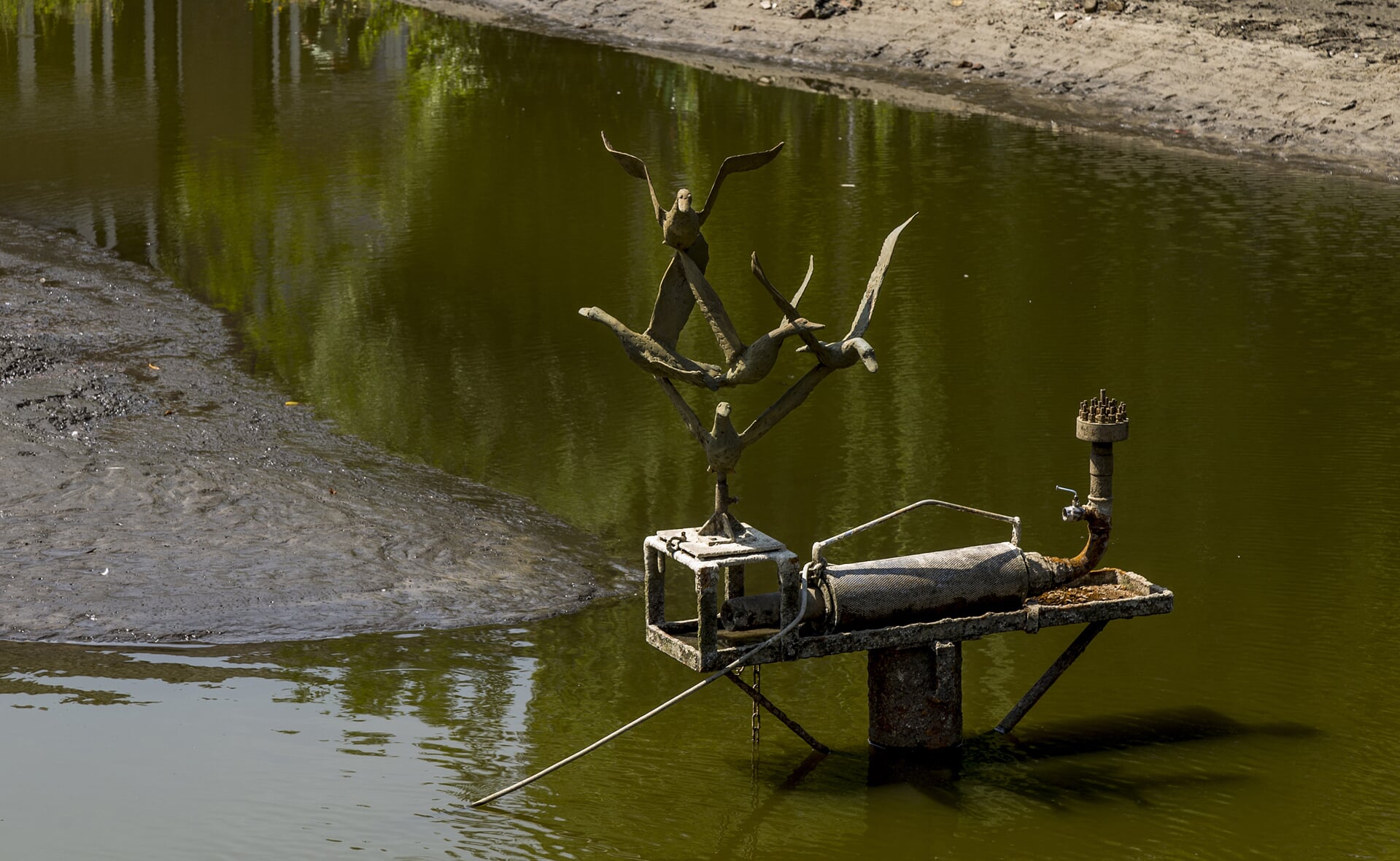 Laag water in de gemeentevijver.