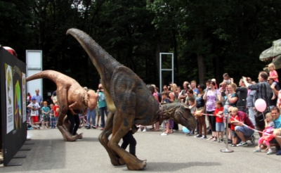<p>Bij de introductie van de Boxtelse dino-app in 2017 wandelden 'levende' dinosaurussen over het terrein bij het Oertijdmuseum. Zo'n replica verwelkomt zondag het publiek tijdens de koopzondag Mode & Beauty in het centrum van Boxtel. (Foto: Gerard Schalkx). </p>