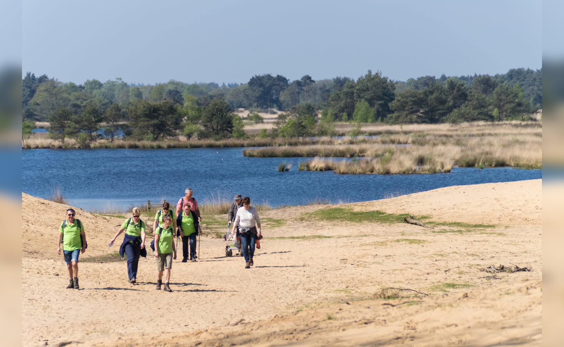 Natuurgebied Kampina tussen Boxtel en Oisterwijk is een populaire wandelomgeving in de regio. (Foto: Daisy Renders)