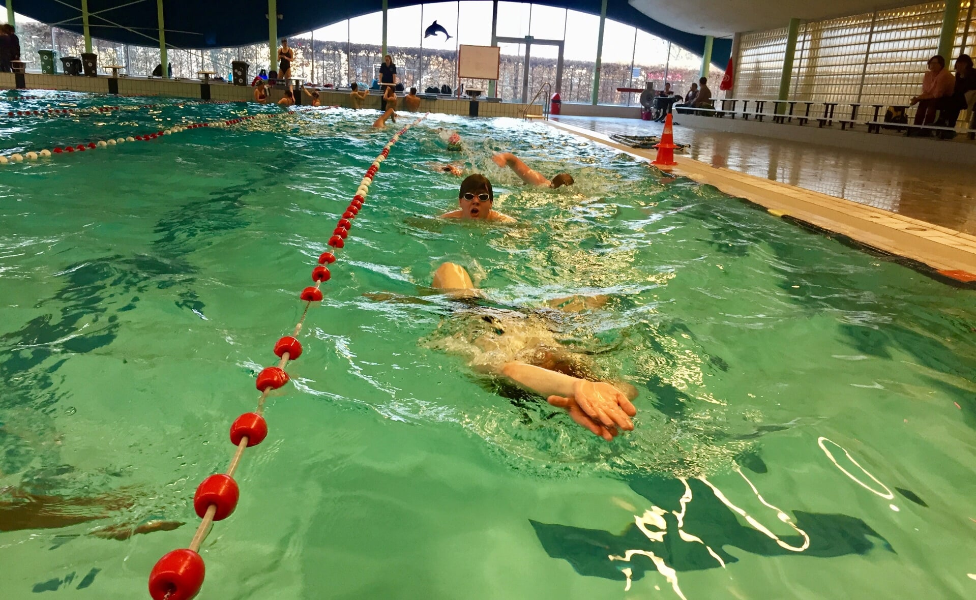 Optisport is de huidige exploitant van het Dommelbad, ook de zwemverenigingen Reddingsbrigade Boxtel (hier aan het trainen in 2018) en Zegenwerp zijn gebruikers van het binnenzwembad aan de Schijndelseweg. 