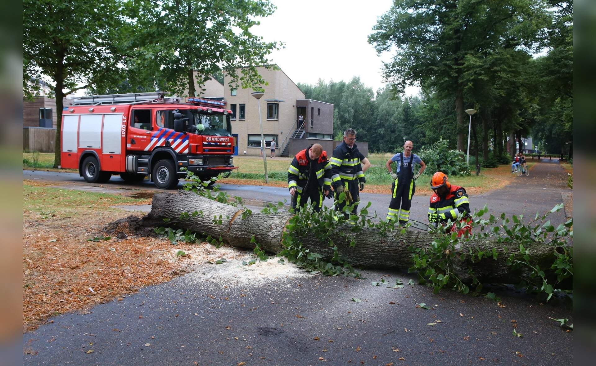 Een omgevallen boom versperde donderdagavond de hoofdweg op het terrein van De La Salle. De Boxtelse brandweer zaagde de boom in stukken. (Foto: Sander van Gils).
