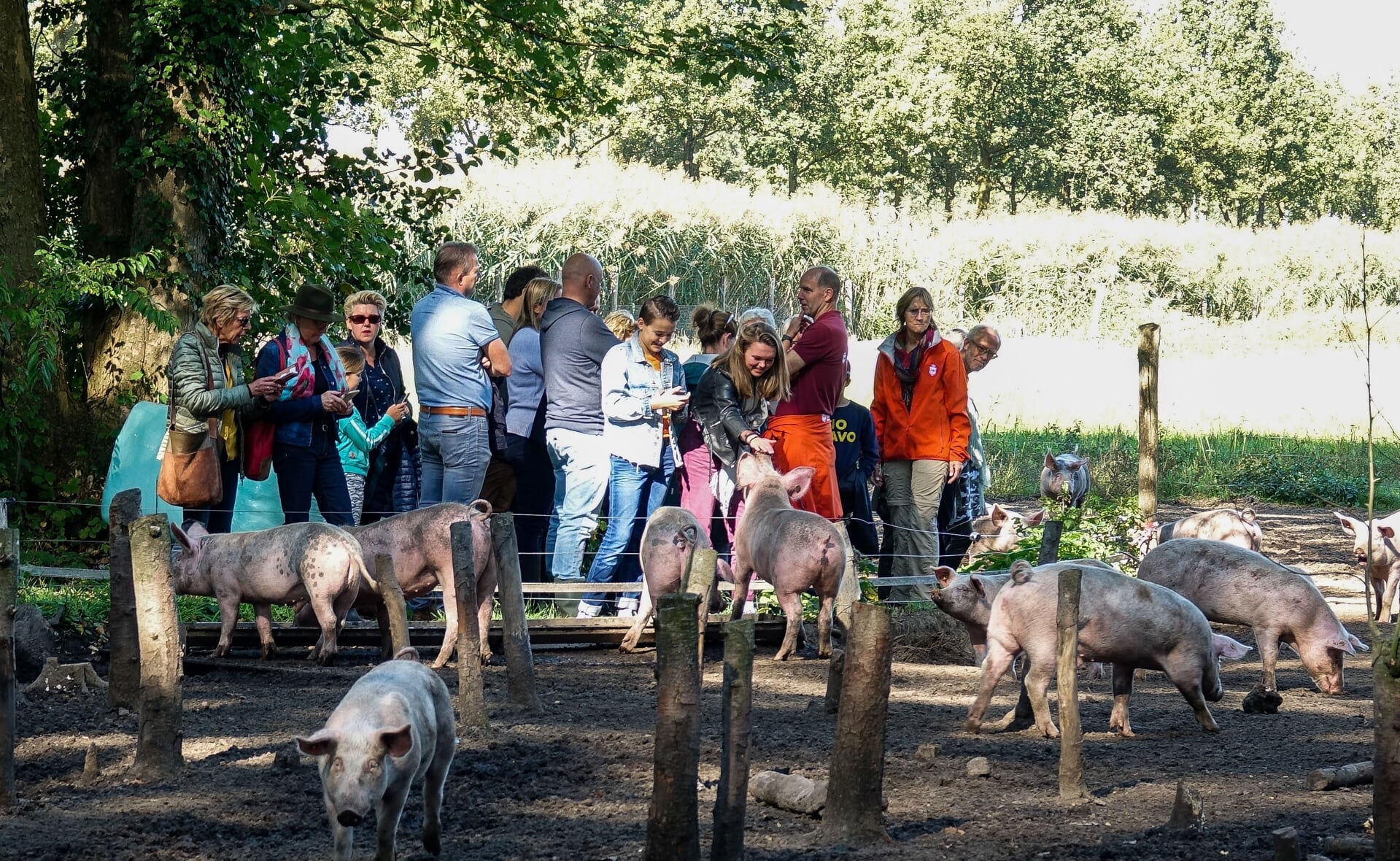 De leden van Herenboeren Wilhelminapark werken  geregeld samen op de coöperatieve boerderij en houden dikwijls open dagen voor publiek.