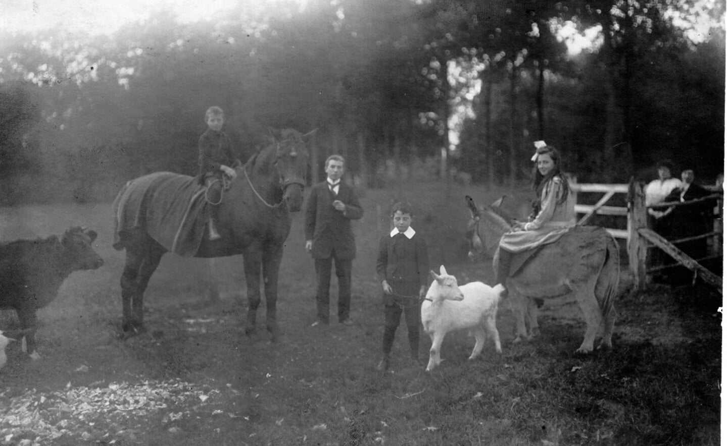 De drie kinderen van Marie-Eugénie de Locht-Mahie…..Charles (op paard links), Marius (bij bokje) en Jeanne (op paard rechts)…..waarschijnlijk met hun vader Louis de Locht.
