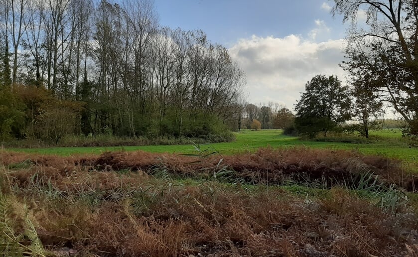 Tijdens de wandeling van Natuurwerkgroep Liempde is het volop genieten van de natuur. (Foto: Ton Popelier).