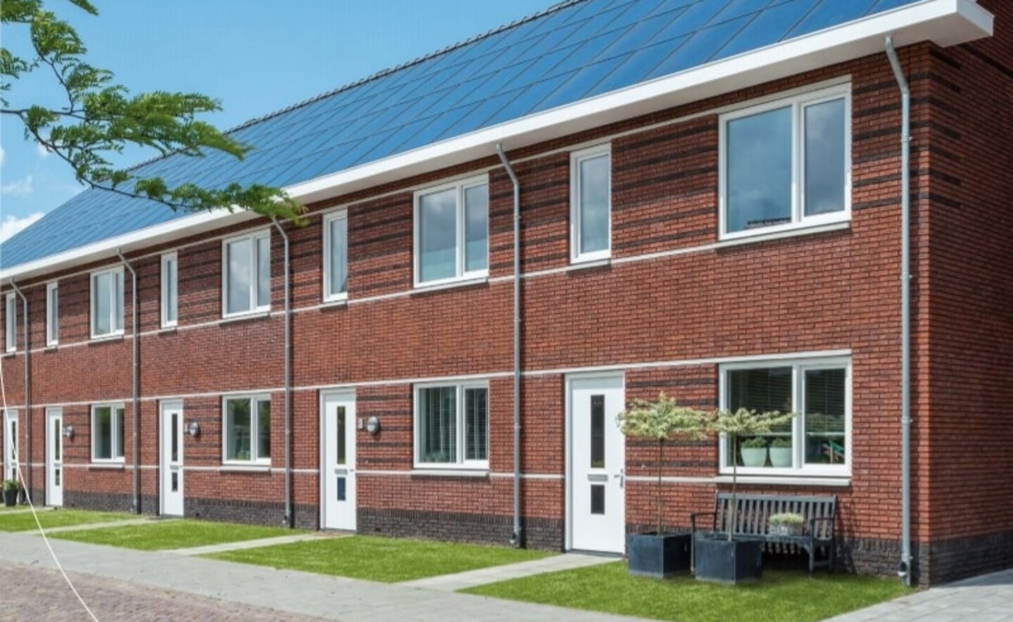 Impressie van de nog te bouwen woningen aan de Rietstok in Gemonde. (Afbeelding: eigen collectie).