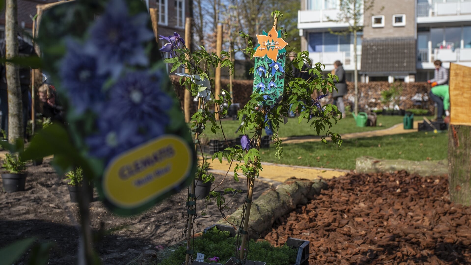 Buurttuin 't Burgakkertje is de startplek voor de Zero Waste Tour in Boxtel.