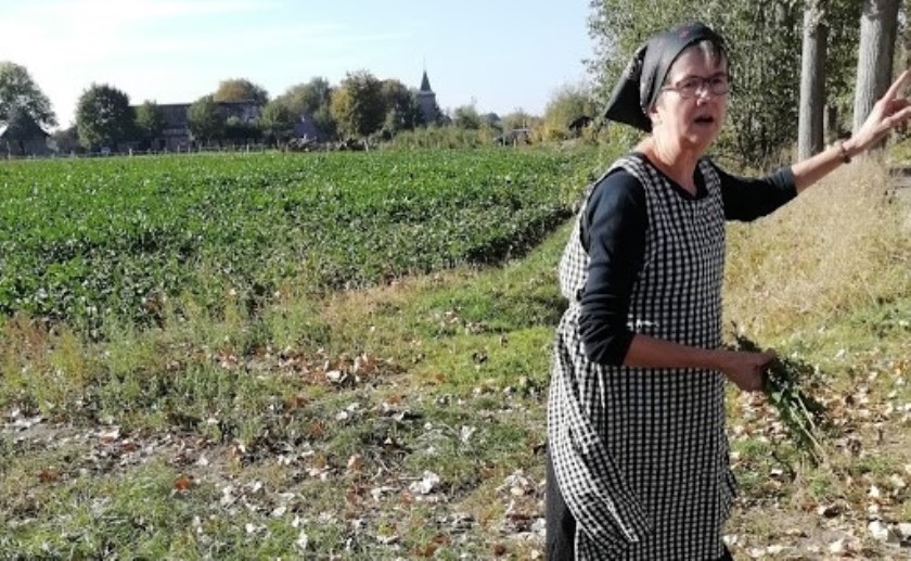 De vrouw des huizes laat de kunst van het kantklossen zien. En dat is nog lang niet alles wat er te doen is.