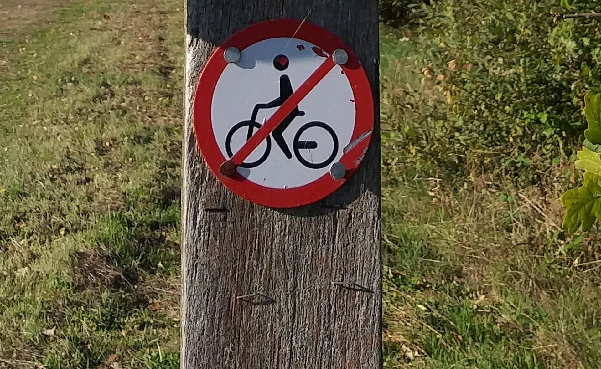 Iedereen kan meedoen met de fietstocht door Het Groene Woud bij Liempde.