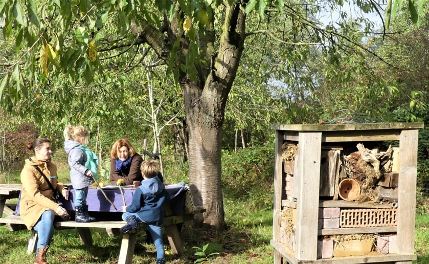 <p>Ecologisch moestuinieren op De Kleine Aarde: met behulp van een professionele imker krijgen deelnemers op het terrein aan het Klaverblad de basis uitgelegd. (Foto: Ad van de Wetering, 2020)</p>