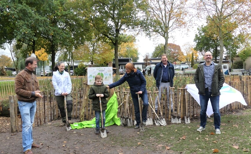 <p class="Fotobijschrift" pstyle="Fotobijschrift">In oktober vorig jaar werd het eerste Tiny Forest in Boxtel geopend aan de Robert Schumanlaan. (Foto: Ad van de Wetering).</p>