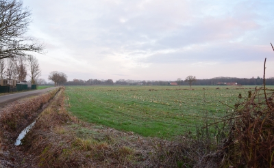 <p>Op dit veld tussen de Esschebaan en de Renbaan kan de gemeente tien hectare aan zonnepanelen kwijt. </p>