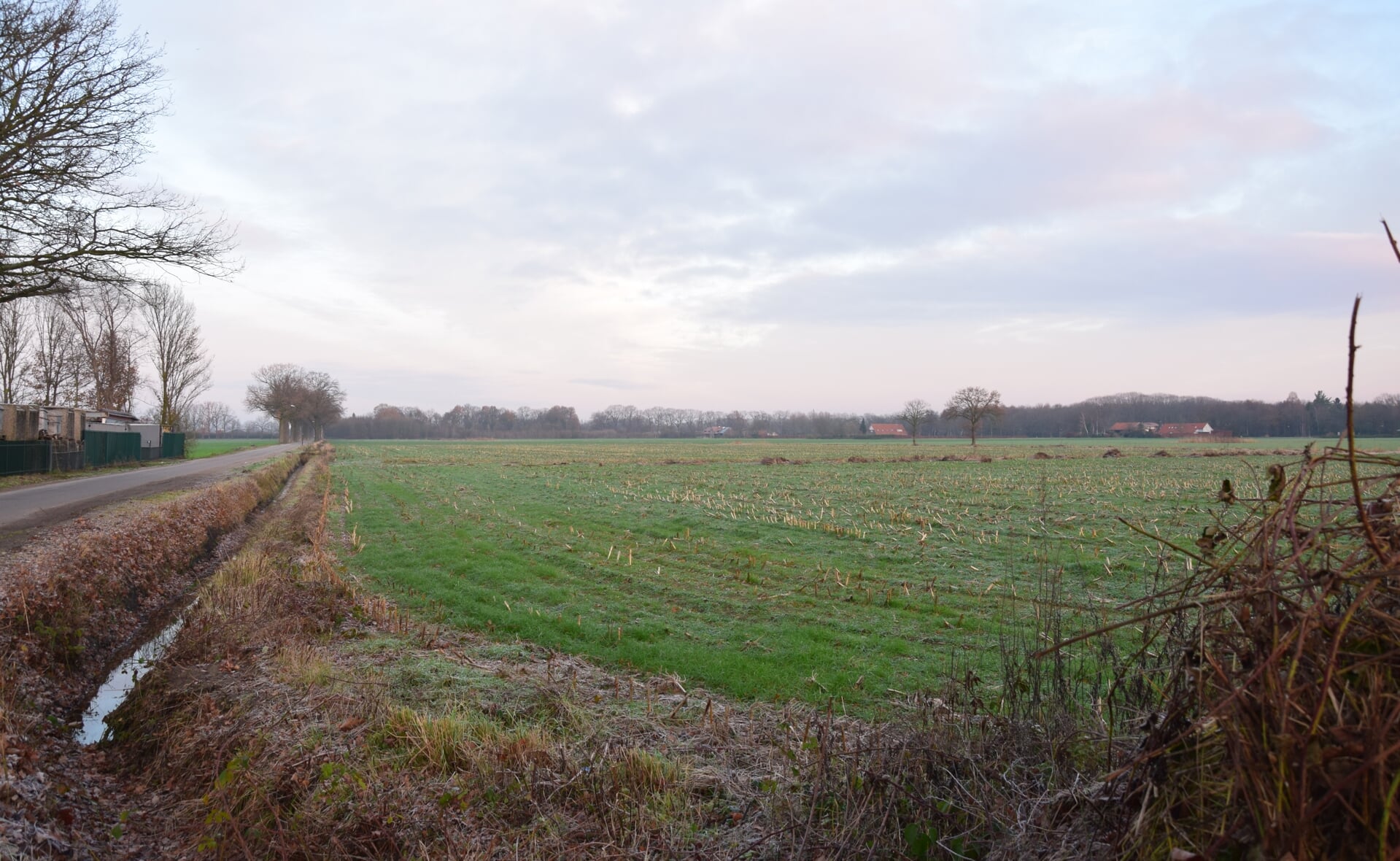 Op dit veld tussen de Esschebaan en de Renbaan kan de gemeente tien hectare aan zonnepanelen kwijt. 