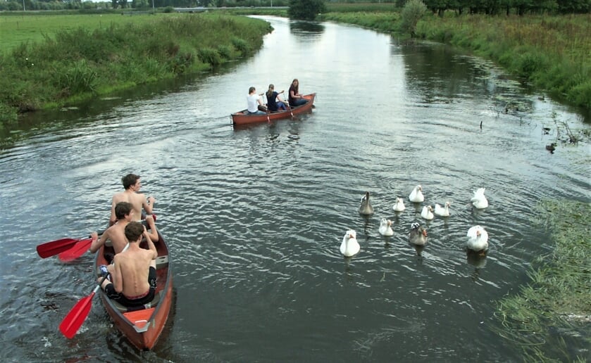 Het Rondje Boxtel voordat corona uitbrak. Foto: Archief/Ad van de Wetering.