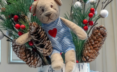 <p>De foto van deze knuffel is gemaakt voor een kerstverhaal uit 2019 over Mariëlle van Beers, die als mantelzorger voor haar dochter Sylvi zorgt.</p>