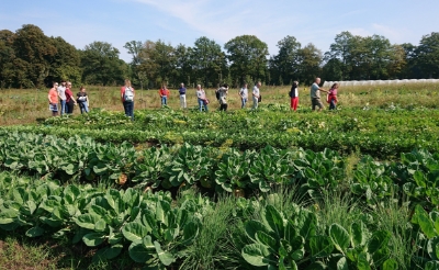 <p>De Herenboeren geven rondleidingen. (Foto: eigen collectie).</p>