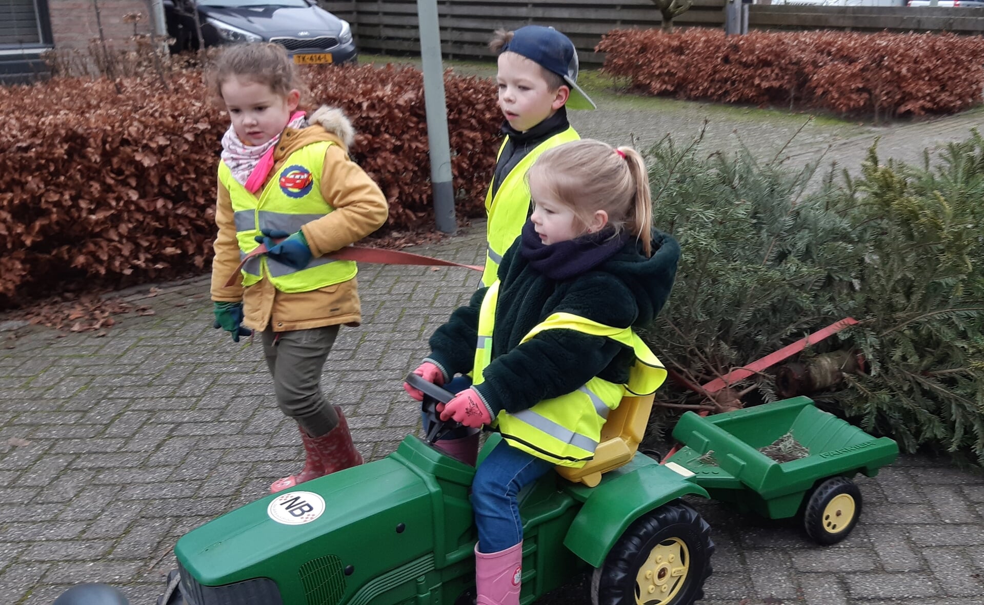 Pleun de Vroom bestuurt de trekker waarmee ze met haar nichtje Inge en neefje Giel van Gorp kerstbomen naar de Kuiper vervoert. 