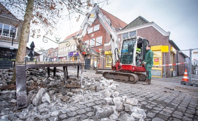 Voordat deze boom verplant kan worden, moet onder andere eerst een deel van de bestrating verwijderd worden. (Foto: Bas van den Biggelaar).