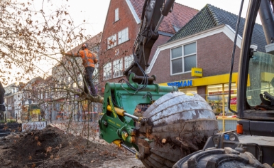 <p>Met deze kraan werden vanochtend twee platanen vanuit de Rechterstraat naar hun nieuwe locatie verhuisd.</p>