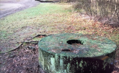 <p>De molensteen van ruim tweeduizend kilo die de grens markeerde van Boxtel met Oisterwijk in de Kampina is sinds enkele weken spoorloos verdwenen. Hij dook even op in het centrum van Oisterwijk, maar is daar alweer verdwenen. </p>