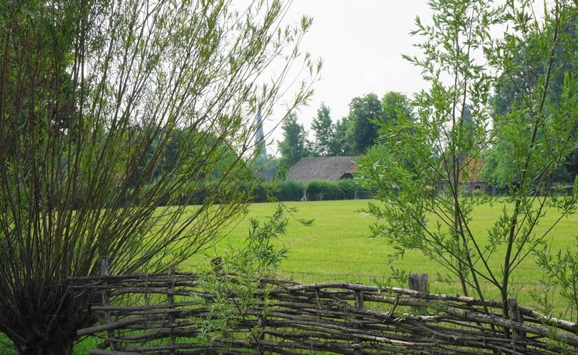 <p>De Liempdse kerk gezien vanaf de Herscheweg in het gehucht Hezelaar. Zondag is er een wandeling door dit oude deel van Liempde. (Foto: Ruud van Nooijen).</p>