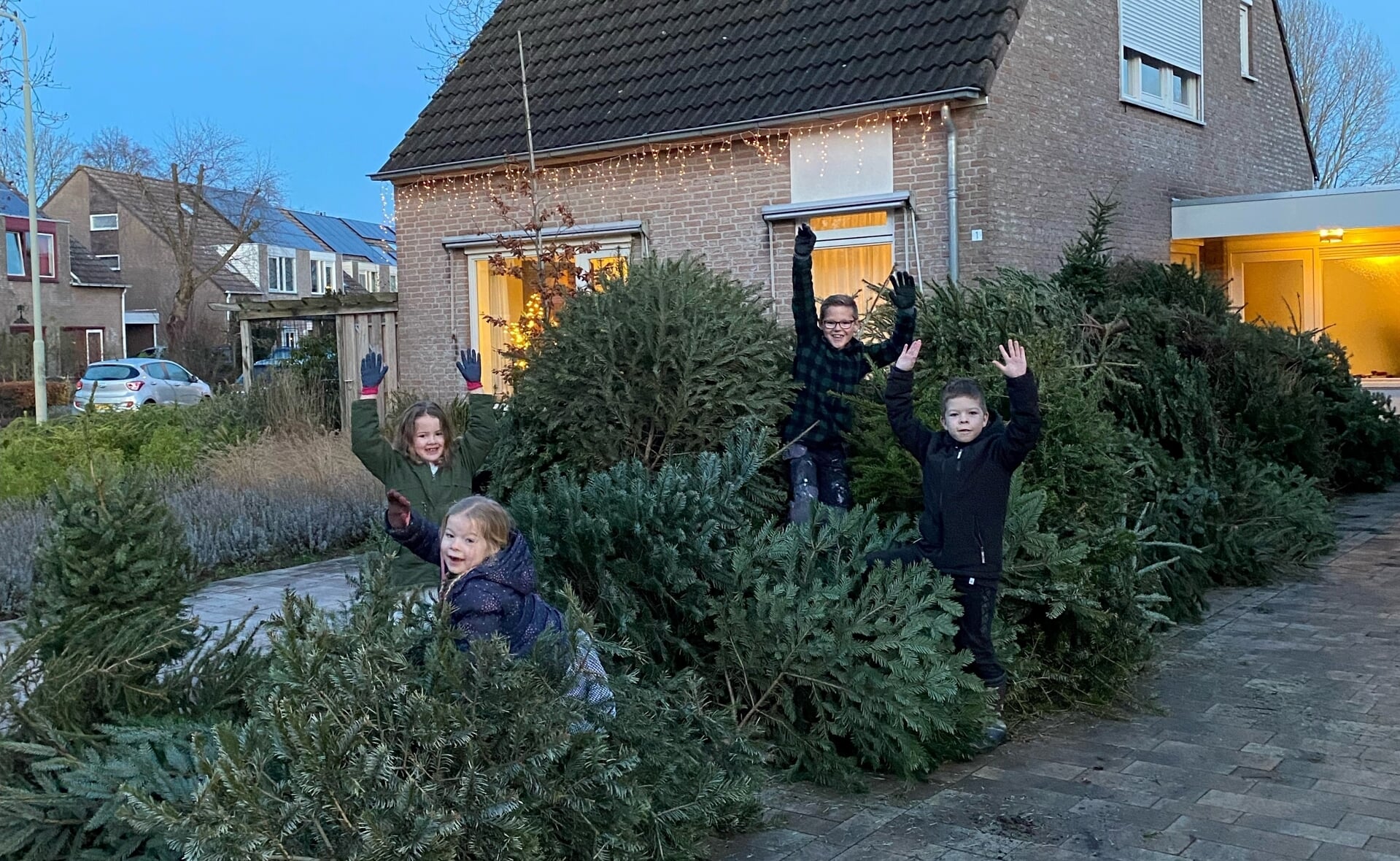 Deze vier toppers, Pleun de Vroom, Thijs van Engelenburg en Giel en Inge van Gorp hebben dit jaar maar liefst 116 kerstbomen verzameld. Volgend jaar gaan ze voor minimaal 117 exemplaren, zo lieten ze aan Brabants Centrum weten. 