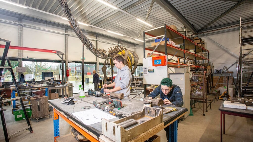 Boxtel Prehistoric Museum Celebrates 25th Anniversary with New Species Discovery and Scientific Symposia