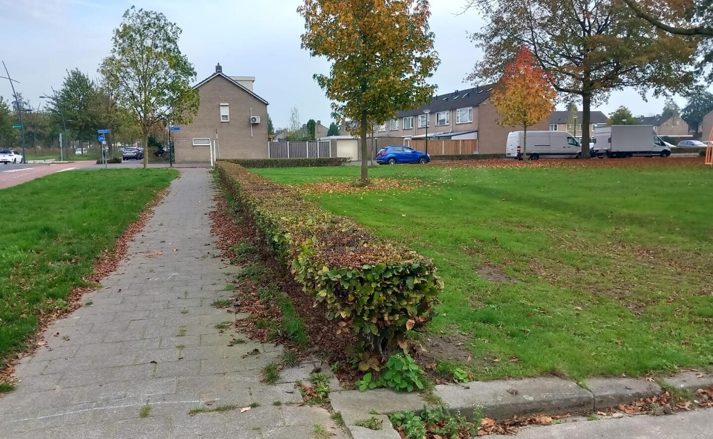 Enkele weken geleden presenteerden de gemeente Boxtel en woonstichting Joost een plan om op dit speelveldje tussen Hoogheem en het Pastoor Van Besouwplein twaalf flexwoningen te bouwen.