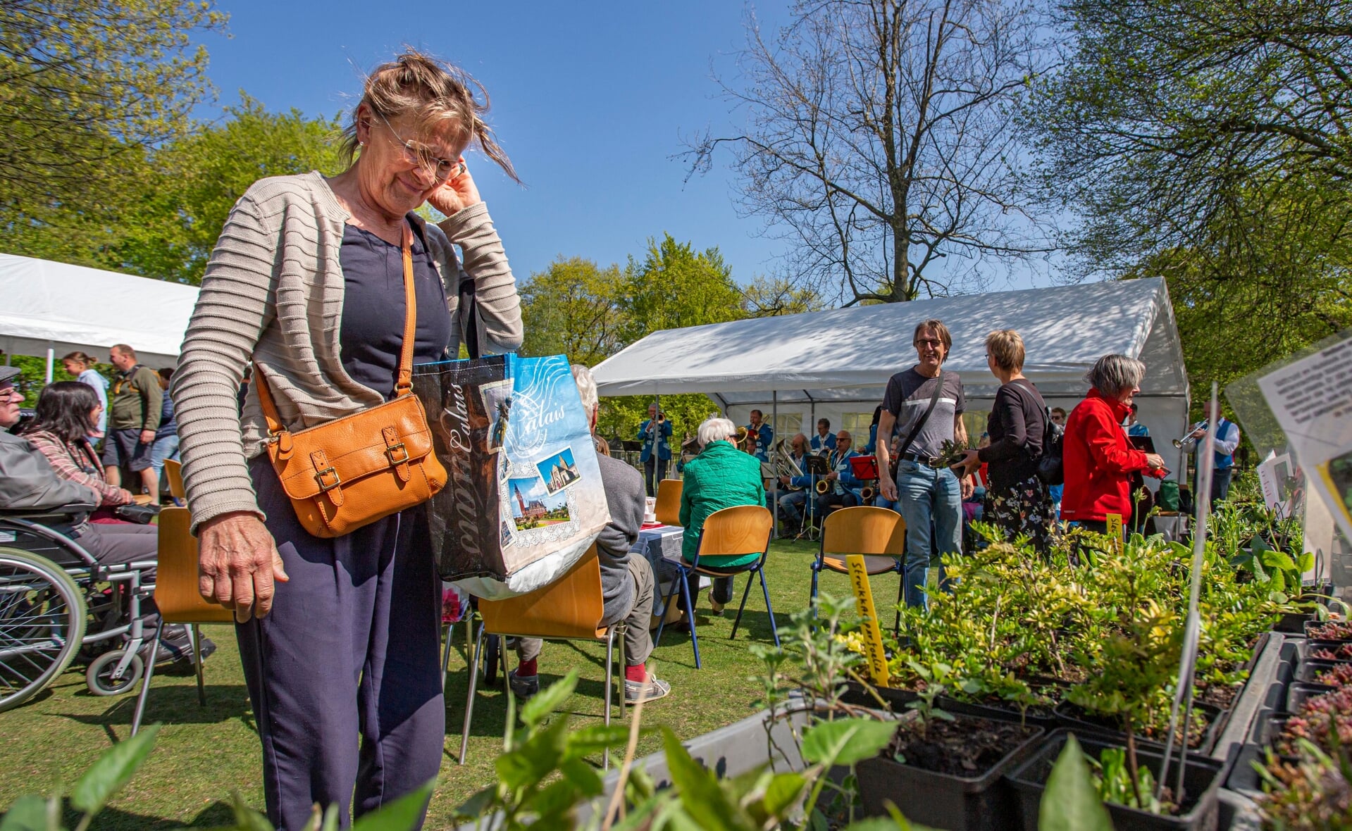 Vorig jaar was de bijen- en plantenmarkt  in park Molenwijk zonovergoten.