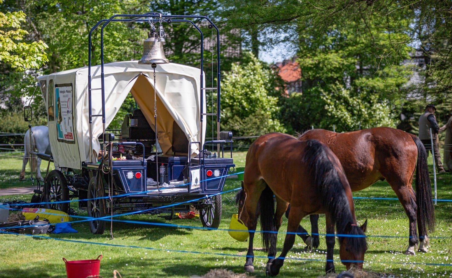 De vredeskaravaan met paard en wagens hield zondagmiddag even halt in park Molenwijk in Boxtel. De groep was op weg naar Waterloo in België.