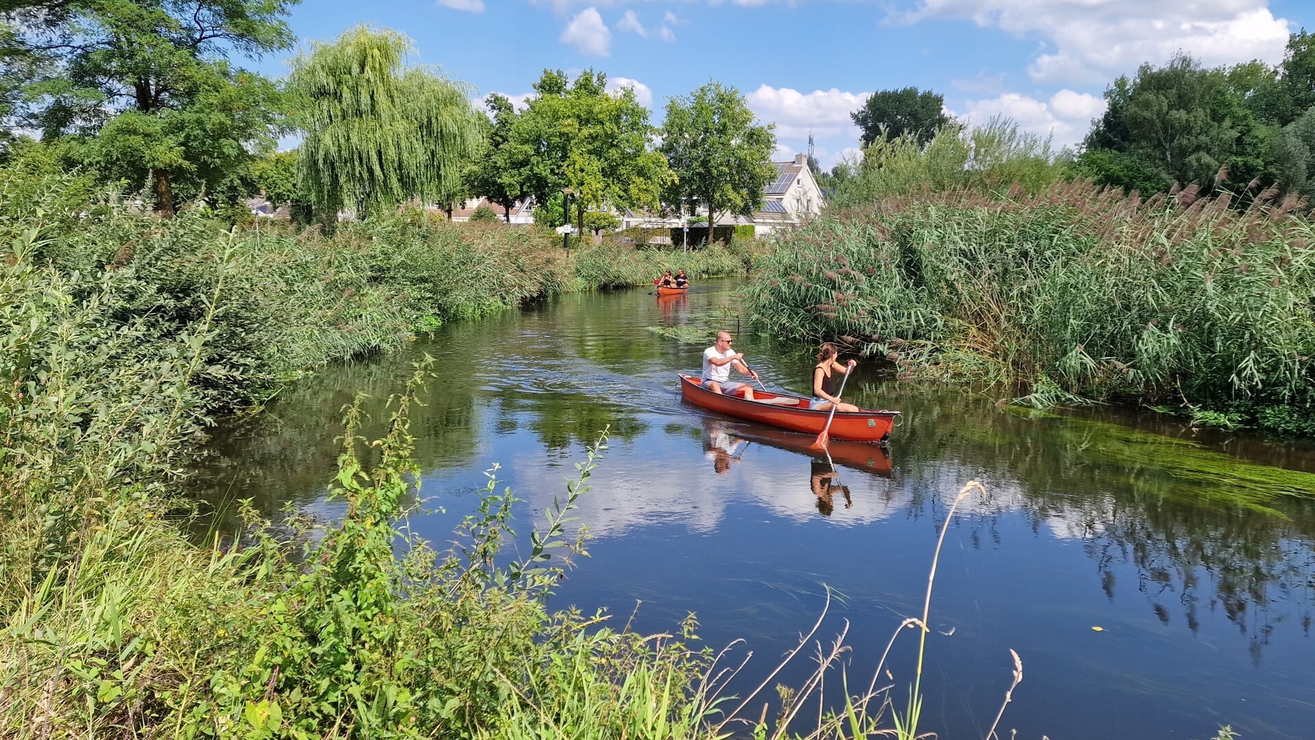 Waterschap heft vaarverbod op Dommel op - Brabants Centrum