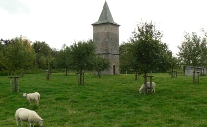 Afbeelding