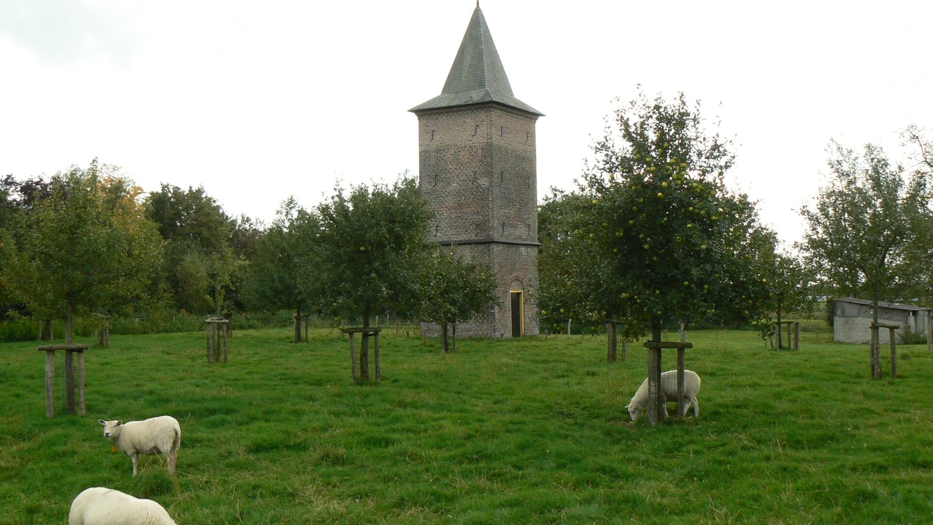 Het Groot Duijfhuis in Liempde heeft een flinke boomgaard vol met verschillende historische fruitrassen. De laatste zondag van augustus is het fruitdag, en kan iedereen komen proeven.