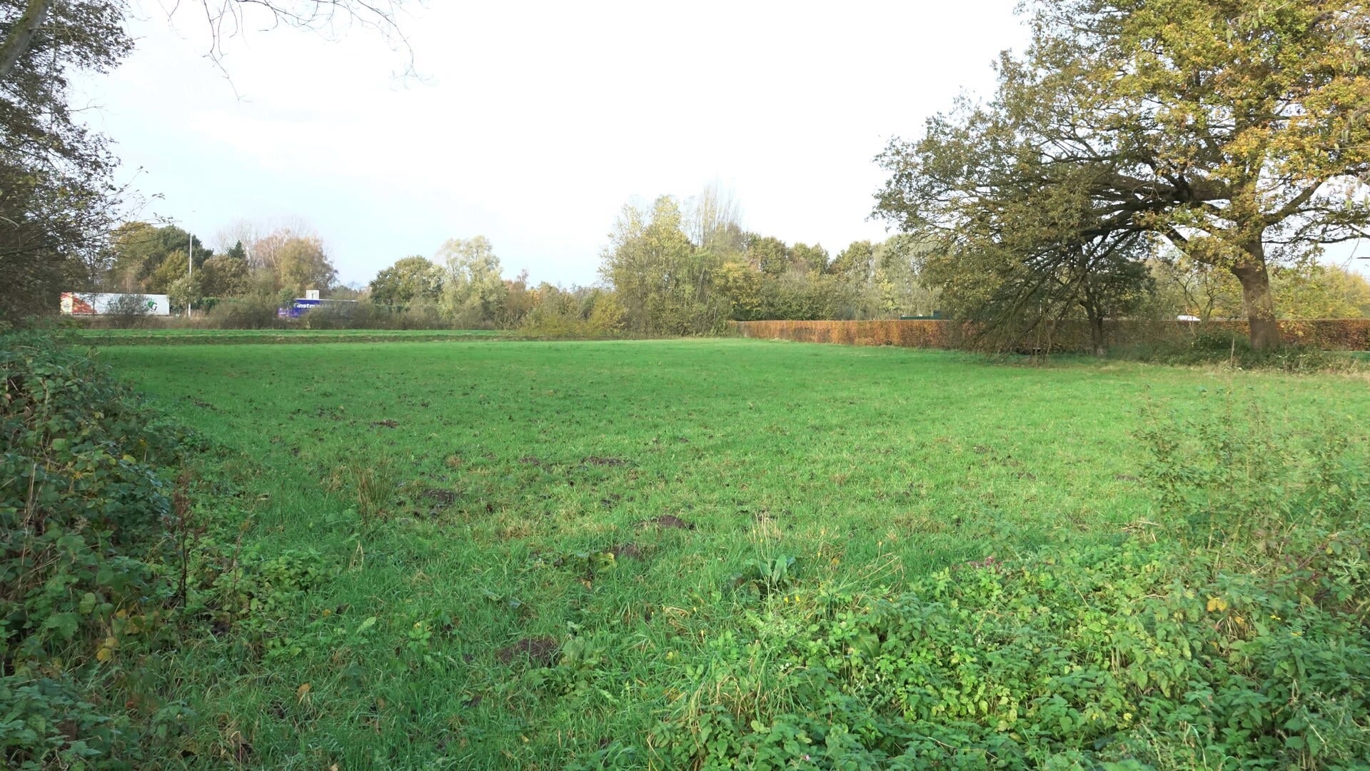 Het perceel tussen de volkstuinen van Ceres in buurtschap Onrooi en rijksweg A2 wordt op termijn omgetoverd tot natuurlandschap waaronder een deel leembos.