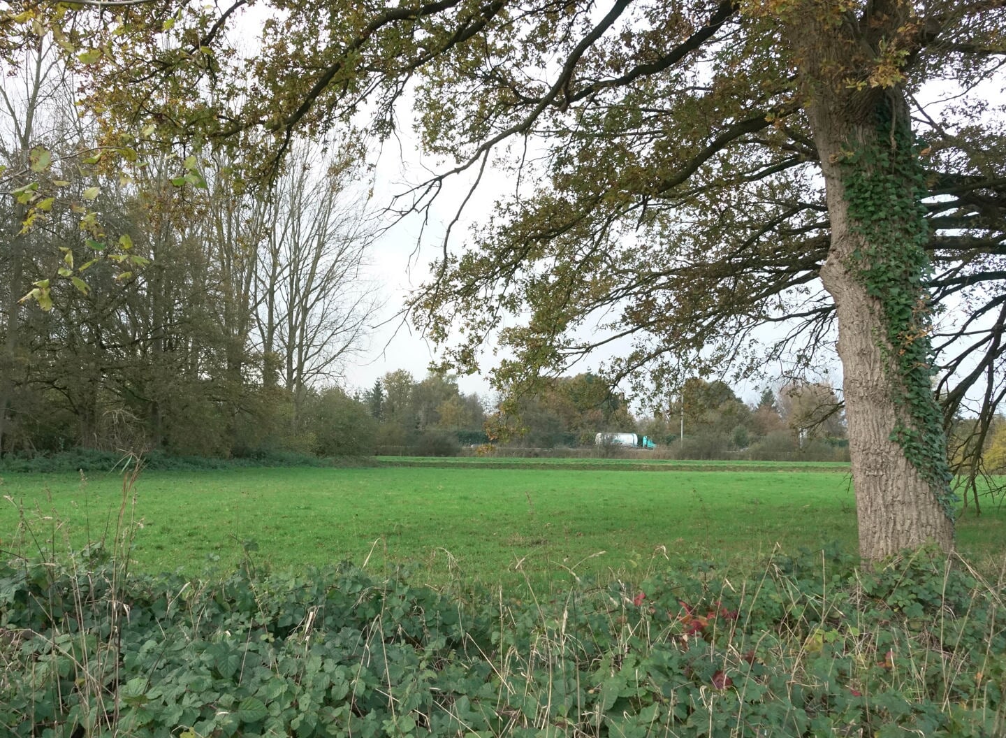 Het perceel tussen de volkstuinen van Ceres in buurtschap Onrooi en rijksweg A2 wordt op termijn omgetoverd tot natuurlandschap waaronder een deel leembos.