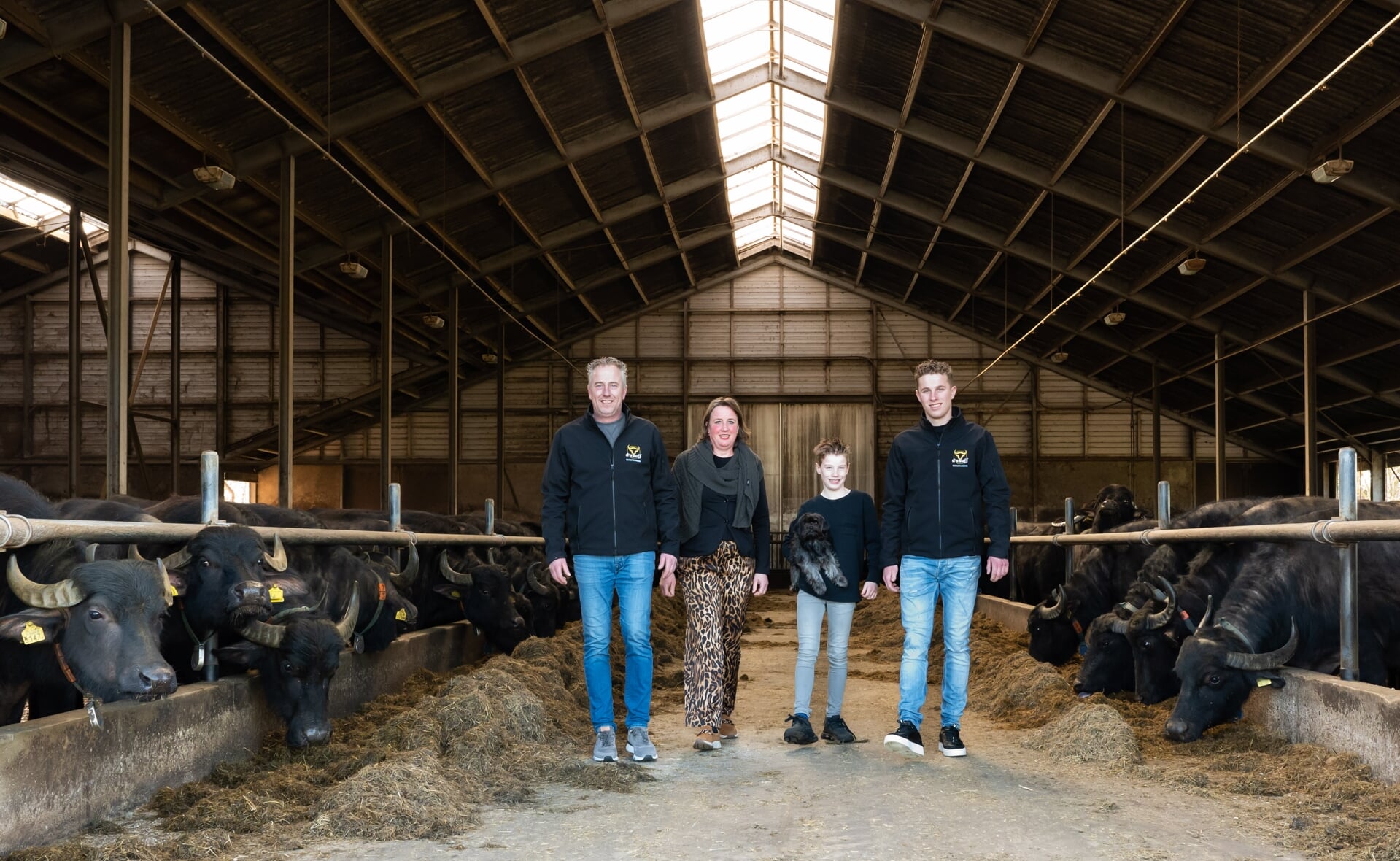 Frans, Wendy, Lau en Thijm van Oirschot zijn apetrots op de nominatie voor Agrarisch Ondernemer van het Jaar. De familie runt sinds 2018 waterbuffelboerderij D'n Buff op Nergena.