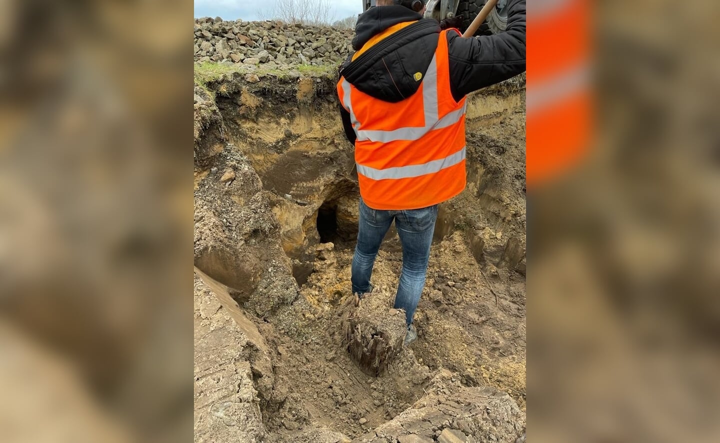 De grote dassenburcht wordt uitgegraven.
