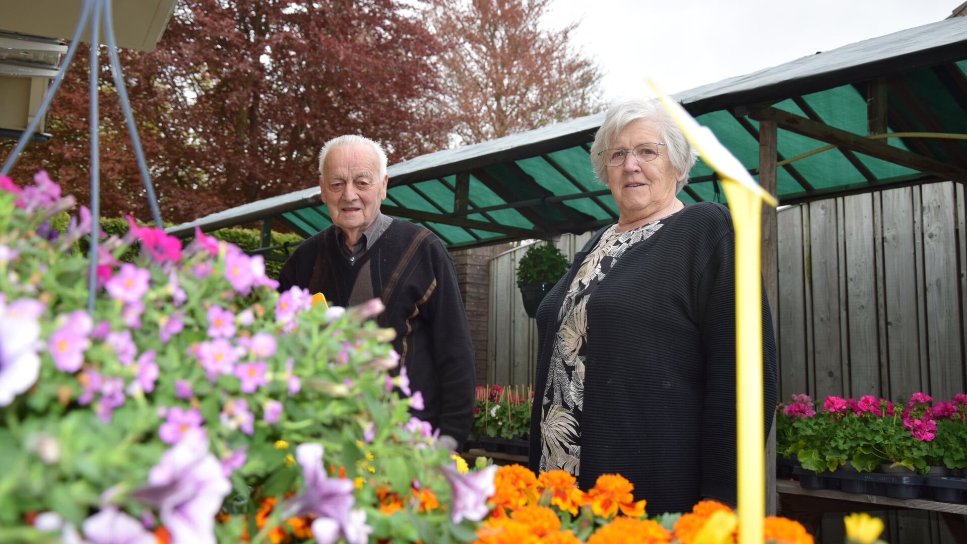 Ben en Riek van den Biggelaar tussen hun tuinplanten. Het echtpaar kweekt deze al bijna vijftig jaar zelf voor de verkoop aan huis in Lennisheuvel.