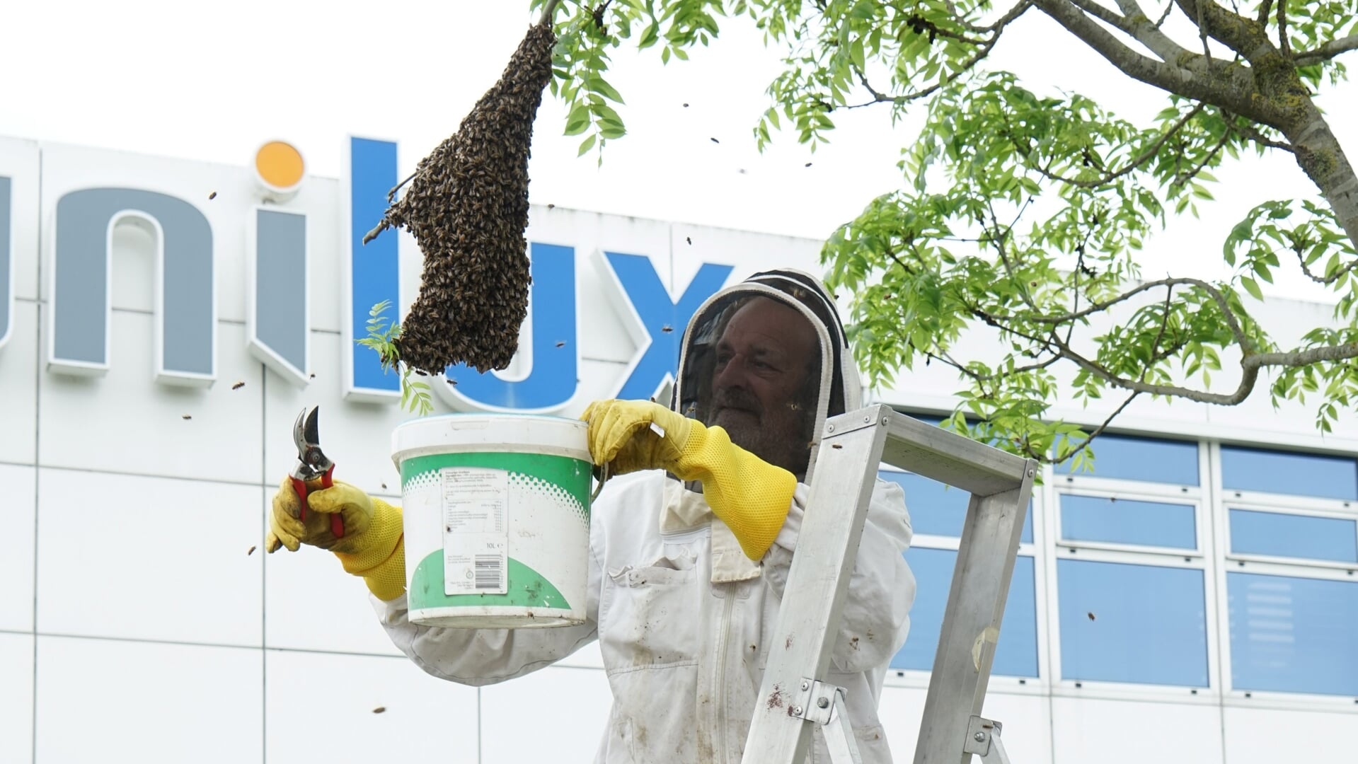Imker Fons van Asten schept een bijenvolk weg bij Unilux.