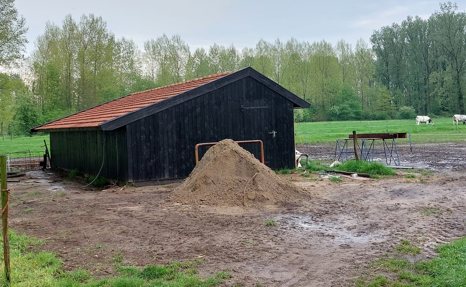 Het kippenhok van Kees en Simonia van der Heijden aan de Maai in buurtschap Kasteren is weer als nieuw. Dit type agrarische bijgebouwtje is kenmerkend voor de wederopbouwperiode. 