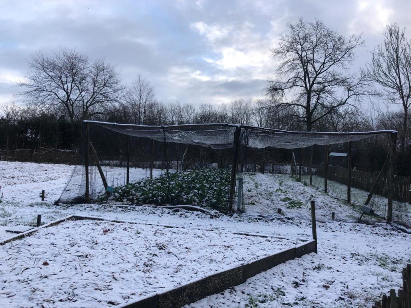 Een winterse deken ligt deze dagen over de Voedseltuin. Het geeft overzicht, maar soms regeert de chaos en daar is niks mis mee.