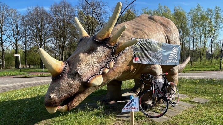 De Dino van Boxtel doet mee aan Alpe d'Huzes! Zogenaamd dan. Een groepje vrijwilligers houdt een ludieke inzamelingsactie voor het goede doel met de Styracosaurus die op rotonde La Salle staat. 