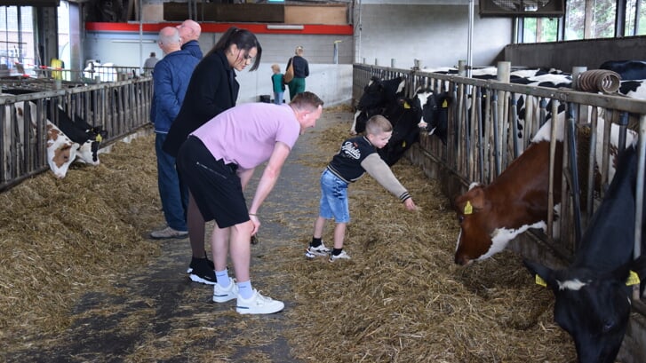 De open boerderijdag bij de familie Van Alphen op Luissel trok ruim duizend bezoekers op tweede pinksterdag.